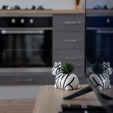 Apartman Ena Bjelovar Εξωτερικό φωτογραφία