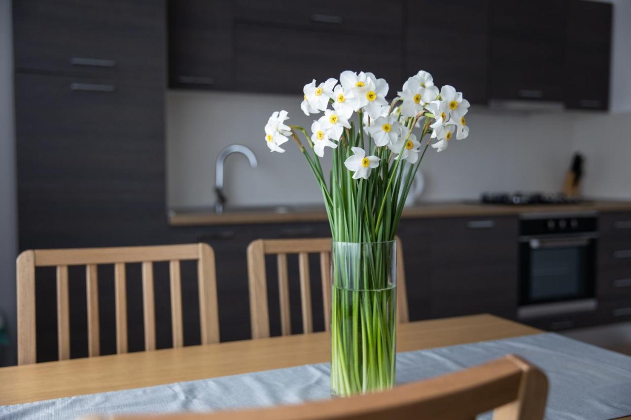 Apartman Ena Bjelovar Εξωτερικό φωτογραφία